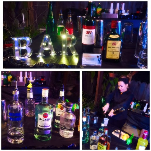 Gallery photo 2 of Karoline's Bartending Services