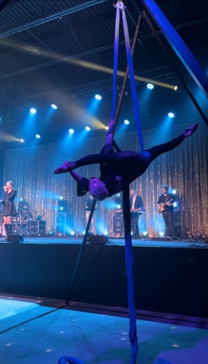 Gallery photo 2 of Kate Wallace Aerialist