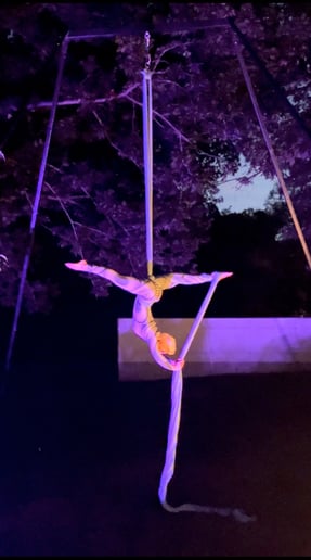 Gallery photo 4 of Kate Wallace Aerialist