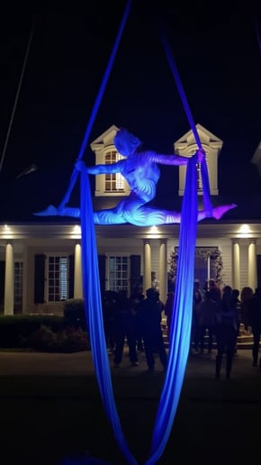 Gallery photo 5 of Kate Wallace Aerialist