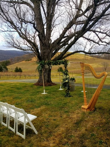 Gallery photo 1 of Katherine Kappelmann, Houston Harpist