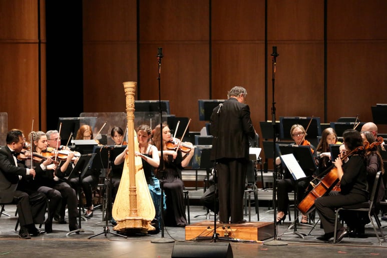Gallery photo 3 of Katherine Kappelmann, Houston Harpist