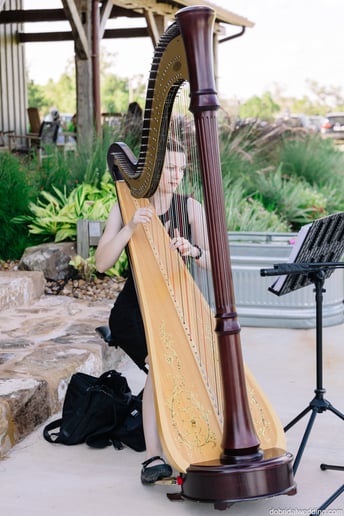Gallery photo 9 of Katherine Kappelmann, Houston Harpist