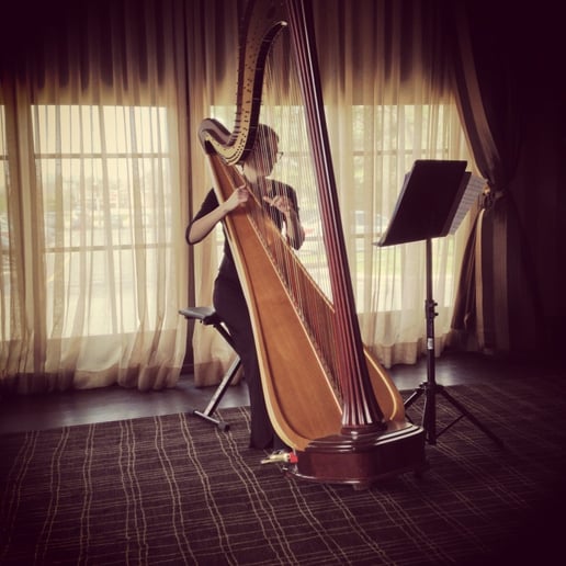 Gallery photo 2 of Kathryn Sloat, Harpist