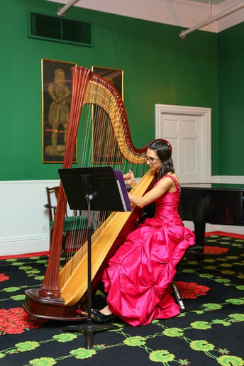Gallery photo 4 of Kathryn Sloat, Harpist