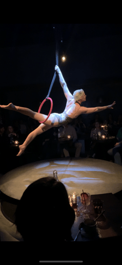 Gallery photo 8 of KC Hyland- Aerial Hoop Artist