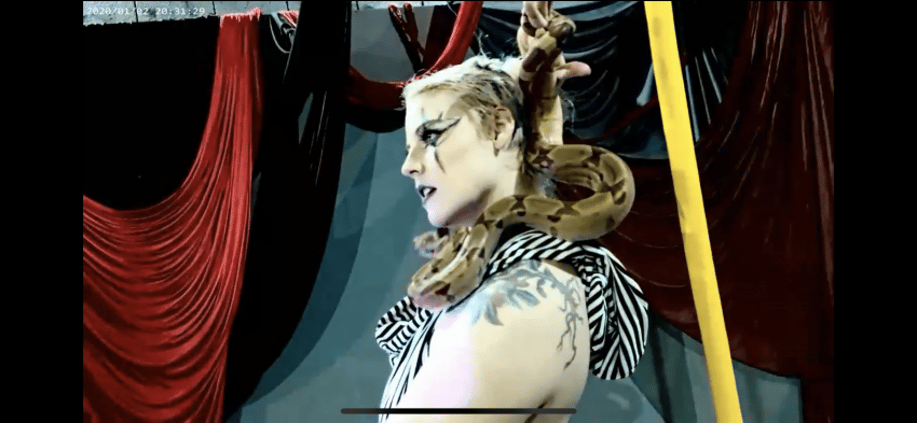 Gallery photo 10 of KC Hyland- Aerial Hoop Artist