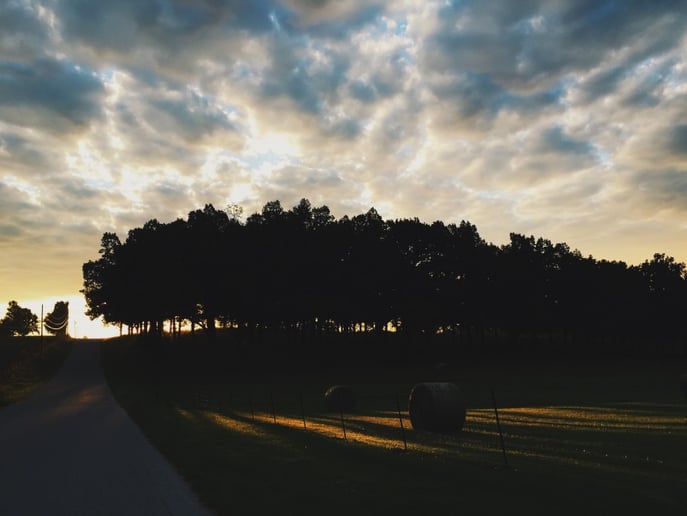 Gallery photo 4 of Kefita Photography