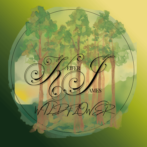 Gallery photo 3 of Keifer James Music