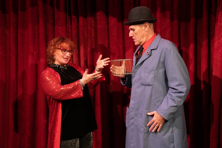 Gallery photo 5 of Lady Sarah & Keith Fields - The Magic Soiree