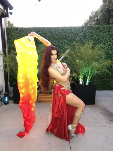 Gallery photo 23 of Fire and Light Entertainment