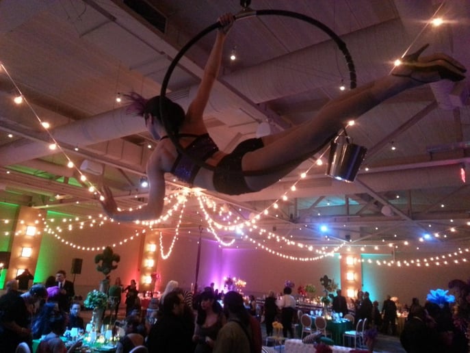 Gallery photo 3 of Iron City Aerial