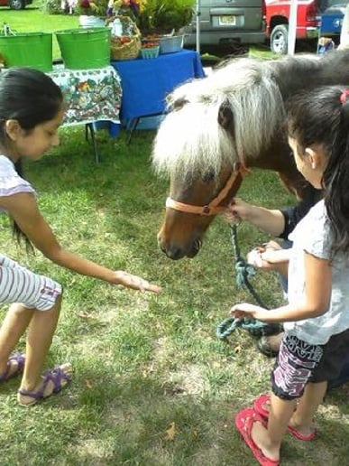 Gallery photo 8 of Keona Farm