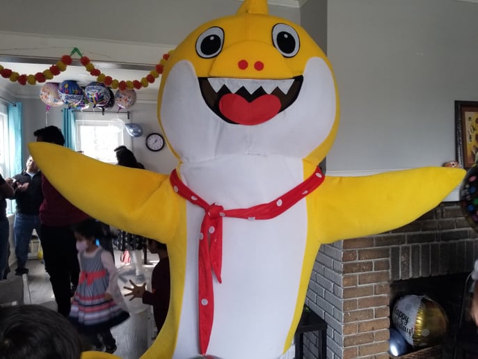 Gallery photo 9 of Kid's Party Mascots