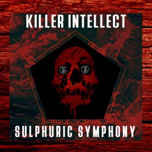Gallery photo 2 of Killer Intellect