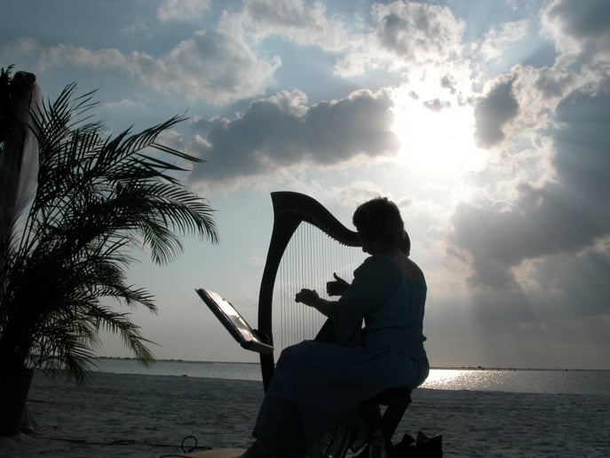 Gallery photo 3 of Kim Adamson, harpist