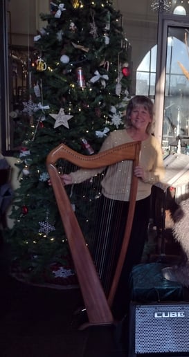 Gallery photo 1 of Kim Adamson, harpist