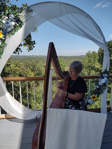 Gallery photo 9 of Kim Adamson, harpist