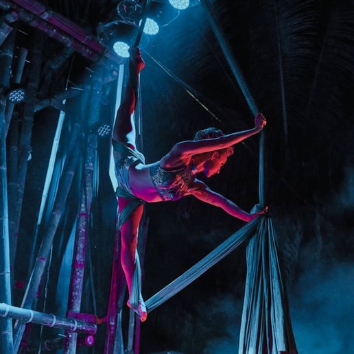 Gallery photo 21 of Kimberly of Wildfire Arts Entertainment