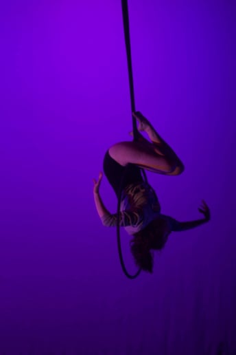 Gallery photo 8 of Kimberly Circus