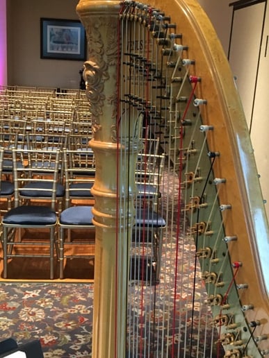 Gallery photo 2 of Kimberly Mueller Palazzolo, Harpist