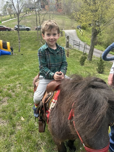 Gallery photo 6 of King Pony Parties