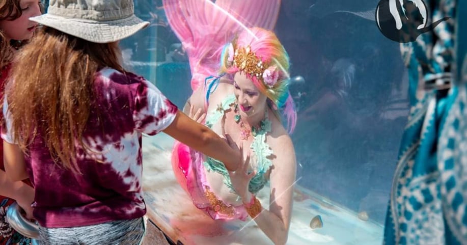 Gallery photo 6 of Kira Kira Entertainment
