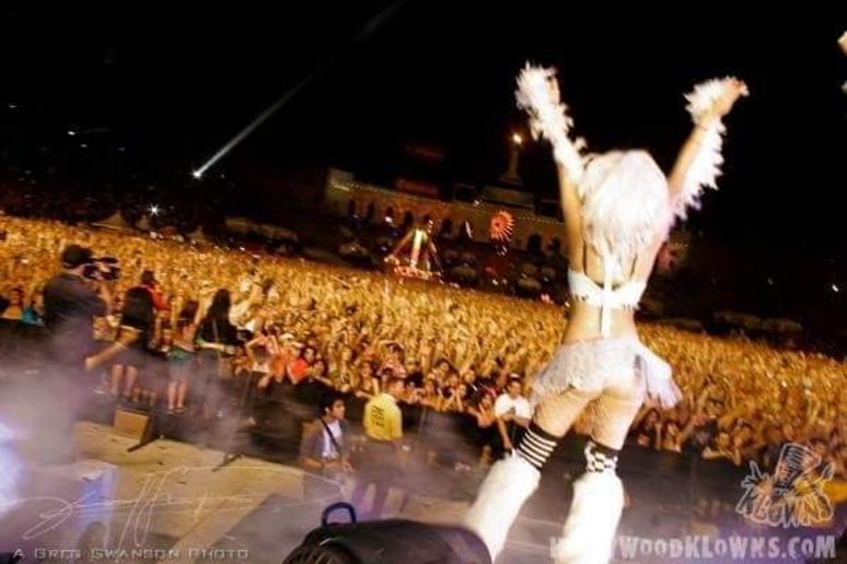 Gallery photo 1 of KittyKat