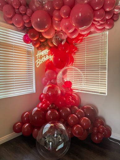 Gallery photo 8 of Kiwi Celebrations