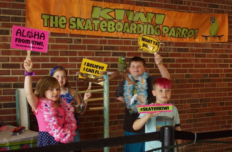 Gallery photo 2 of Animal Party Entertainment with Kiwi, The Skateboarding Parrot