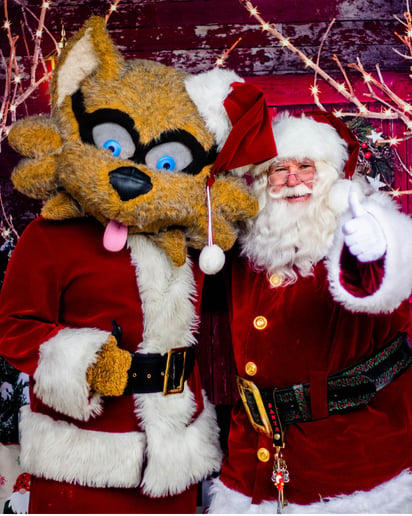 Gallery photo 1 of Koach Kringle
