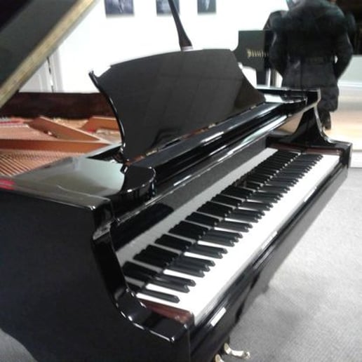 Gallery photo 2 of Kramer Music