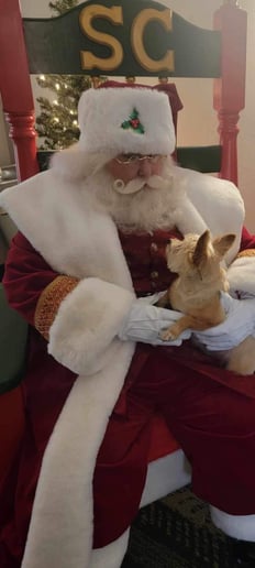 Gallery photo 5 of Apple Blossom State Santa