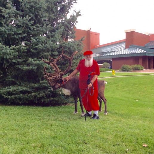 Gallery photo 6 of Kris Bob Kringle