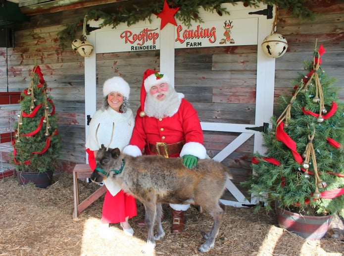 Gallery photo 2 of Kriss Kringle