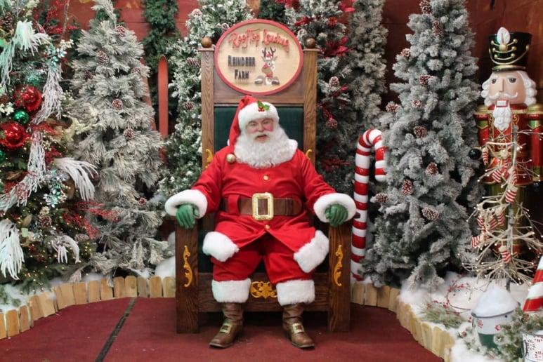Gallery photo 6 of Kriss Kringle