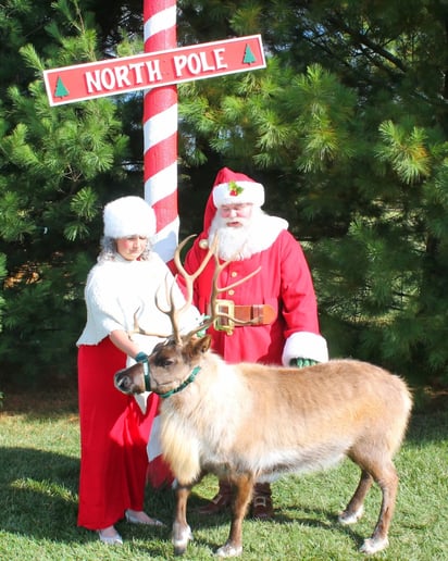 Gallery photo 4 of Kriss Kringle
