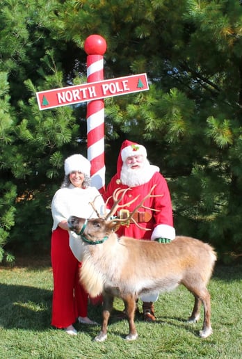 Gallery photo 5 of Kriss Kringle