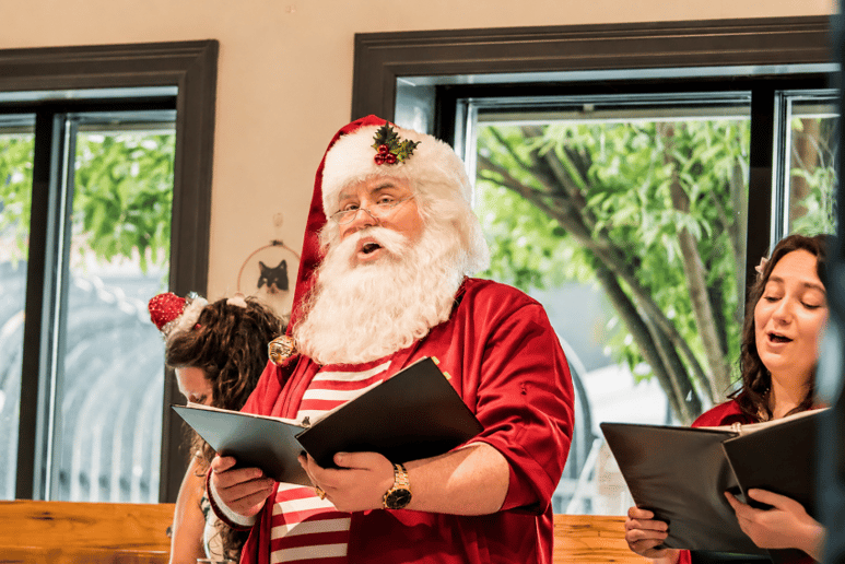 Gallery photo 24 of Kriss Kringle