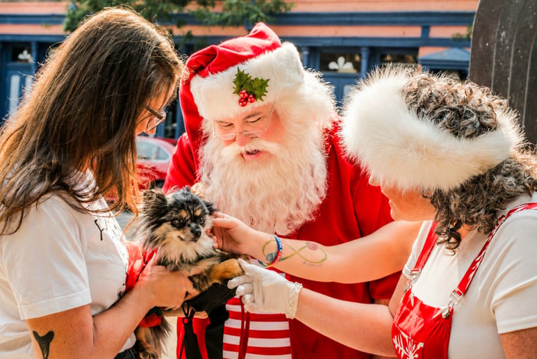 Gallery photo 25 of Kriss Kringle