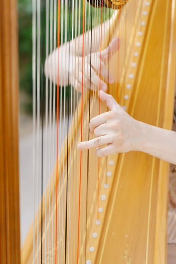 Gallery photo 3 of Modern Fairytale Wedding Harpist