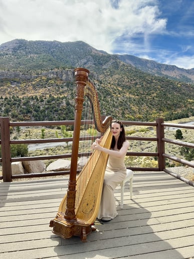 Gallery photo 4 of Modern Fairytale Wedding Harpist