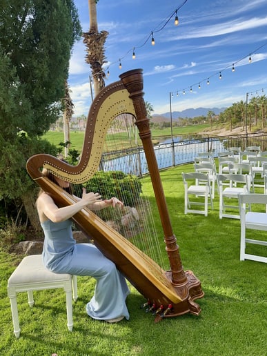 Gallery photo 10 of Modern Fairytale Wedding Harpist