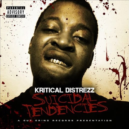 Gallery photo 2 of Kritical Distrezz