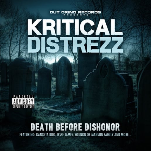 Gallery photo 3 of Kritical Distrezz