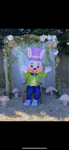 Gallery photo 3 of Parties Galore by Kuddles & Company