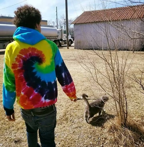Gallery photo 2 of Kudo$