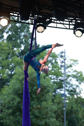 Gallery photo 1 of Kylie - silks artist