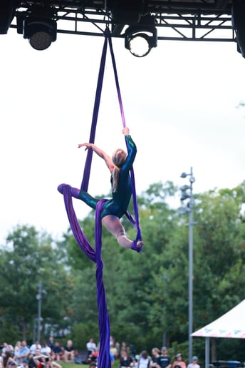 Gallery photo 2 of Kylie - silks artist