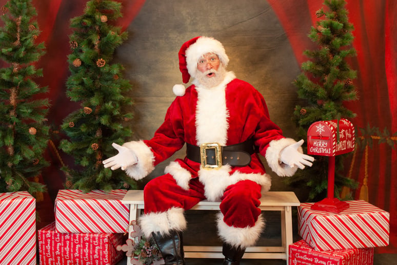 Gallery photo 1 of L-Santa the Claus